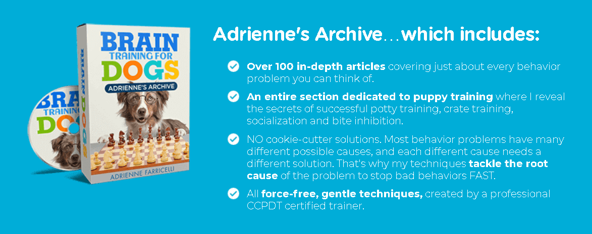 Brain Training For Dogs